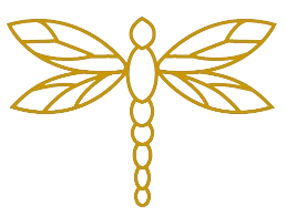 Dragonfly Surprises